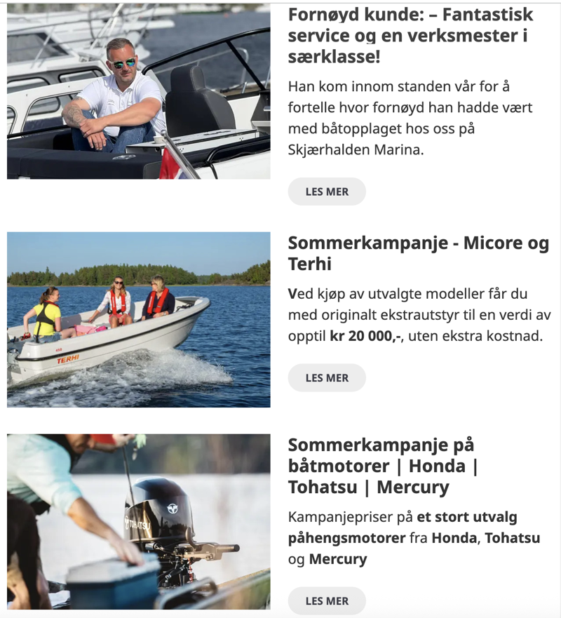 Skjermdump av nyhetsbrev
